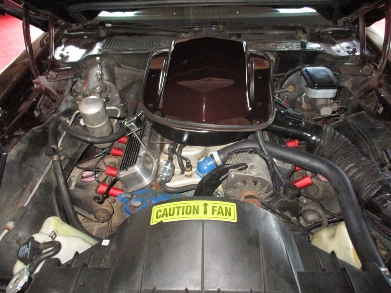 81 Pontiac Trans Am 032.JPG