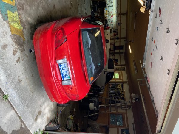 IMG_0507.jpg IMG_0507.jpg